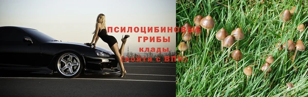 прущие крисы Балабаново